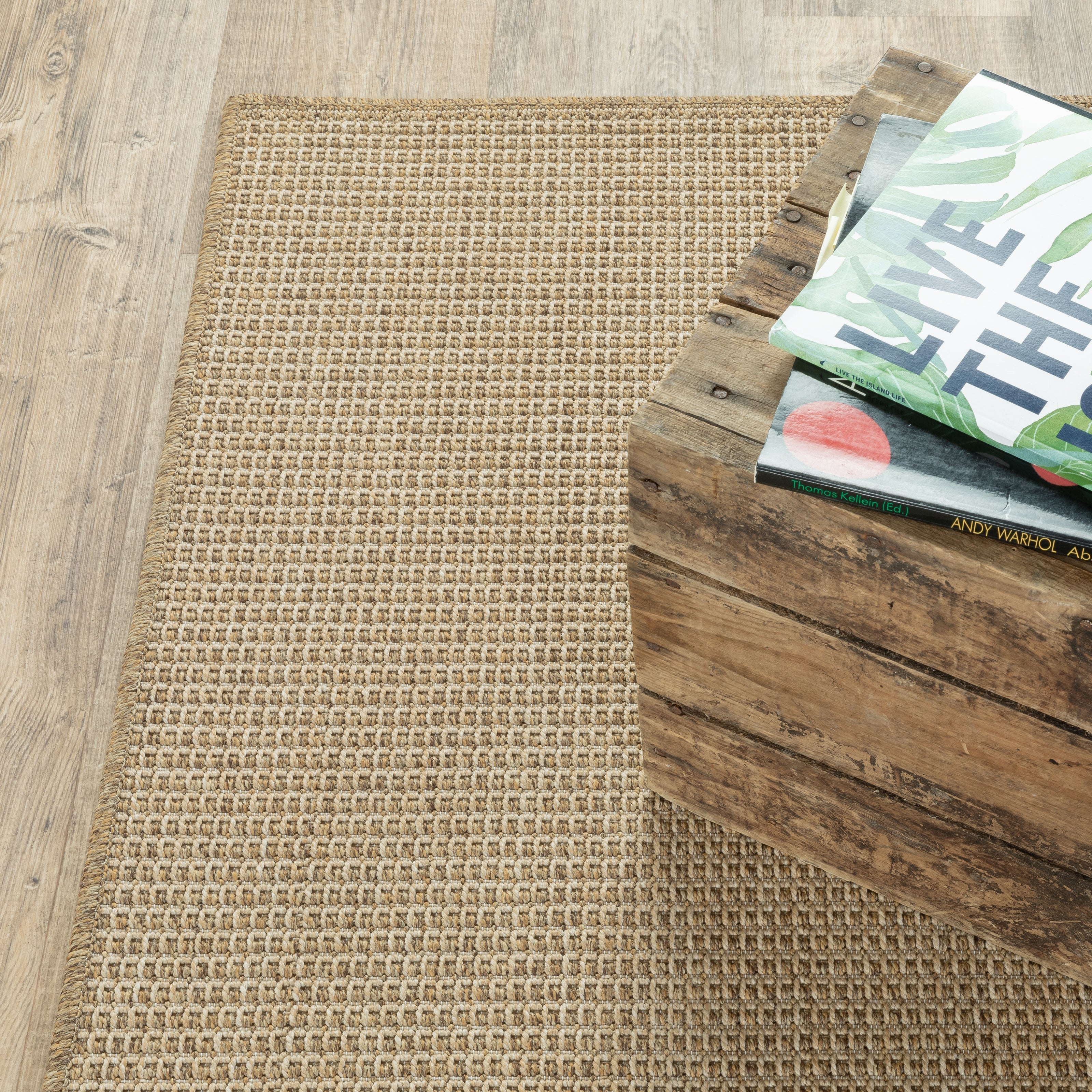 Indoor/Outdoor Rugs