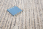 Beige and grey textured area rug with horizontal striped pattern