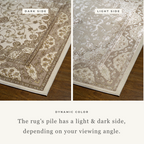 Vintage-style beige and brown medallion rug with ornate floral border pattern