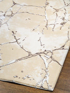 Beige crackle pattern rug with abstract veining and neutral earth tones