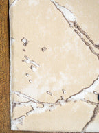 Beige crackle pattern rug with abstract veining and neutral earth tones
