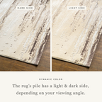 Distressed cream and brown striped area rug with weathered texture