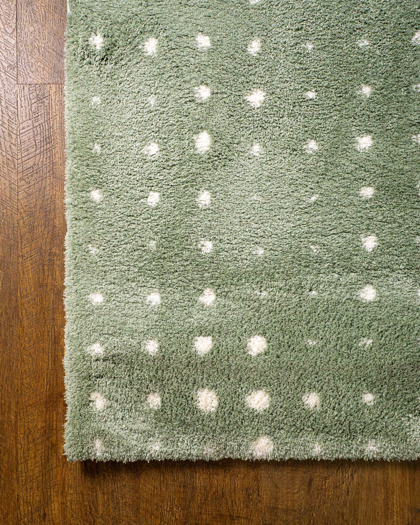 Granville Dotted Modern Rug