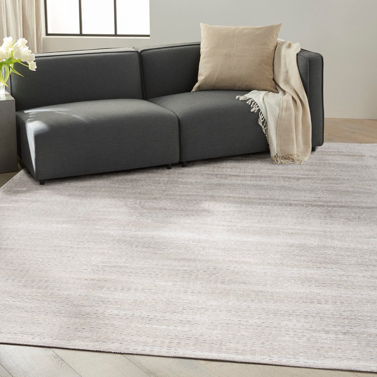Neutral beige textured area rug with subtle linear pattern and natural fiber appearance