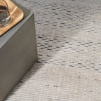 Neutral beige textured area rug with subtle linear pattern and natural fiber appearance