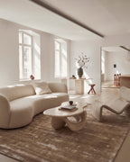 Flavia Viscose Rug
