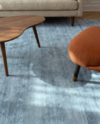 Amara viscose hand-loomed area rug in Dark Cyan, lifestyle close-up